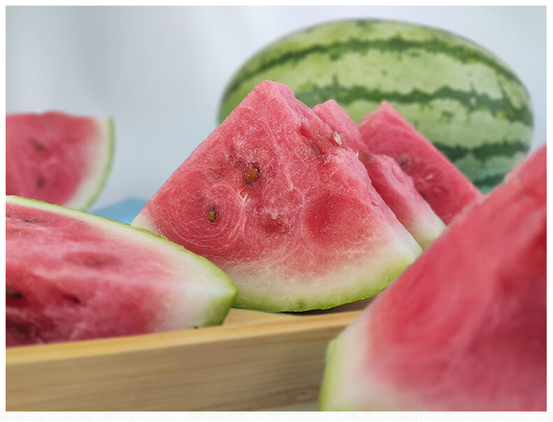 宁夏中卫富硒硒砂瓜 现摘现发水果新鲜西瓜压沙石头巨型沙瓤大西瓜 14