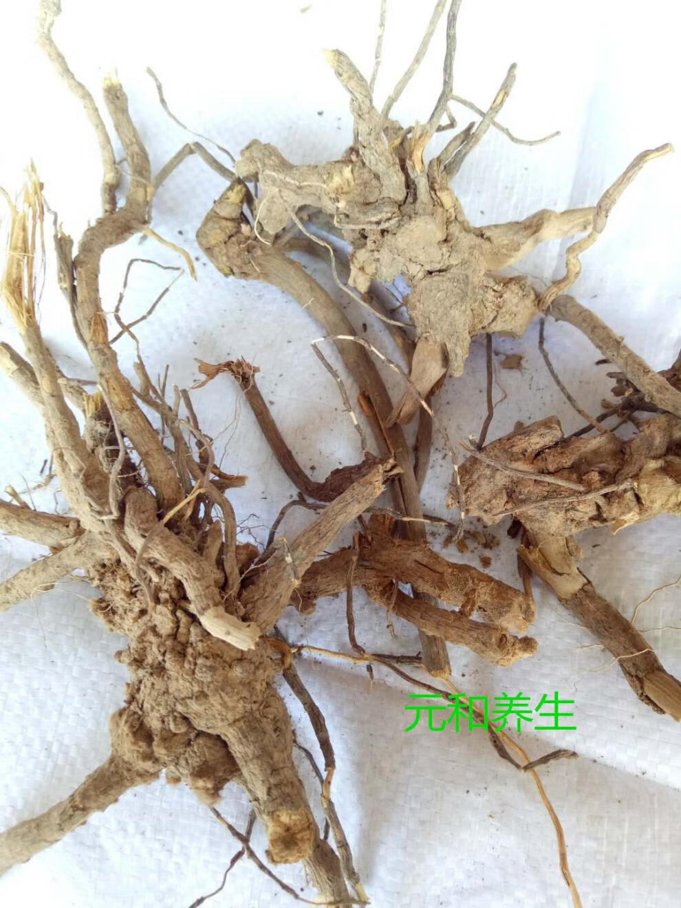 过饥草闽南白毛将军中草药土丁桂辛苦草羊耳菊根兔子耳朵乌根 1斤无杂