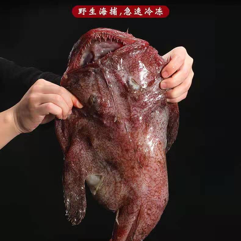 深海安康鱼鲜活速冻安康鱼安康鱼带肝带肚新鲜安康鱼蛤蟆鱼大口鱼