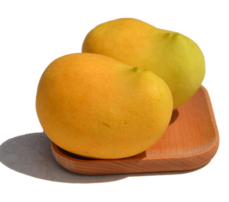 正宗圣德龙芒果新鲜大果9斤缅甸进口应季热带水果鹰嘴芒顺丰 圣德龙