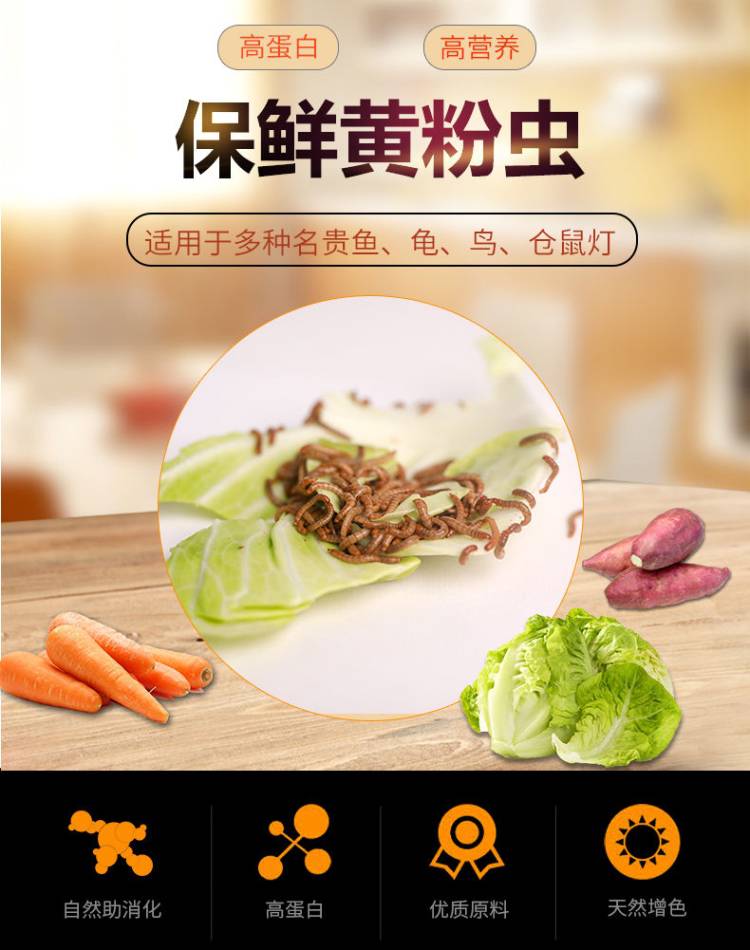 喂幼鸟吃的虫子小鸡鹦鹉百灵画眉八哥鱼饵食物燕子粮饲料面包虫活美存