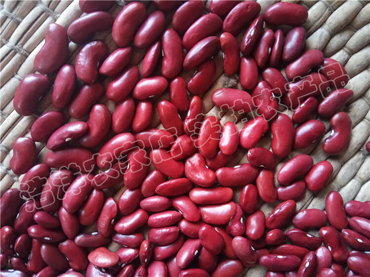 红芸豆红大豆 5斤 农家大红豆饭豆红腰豆红花豆豆浆煲粥 杂粮 红腰豆1