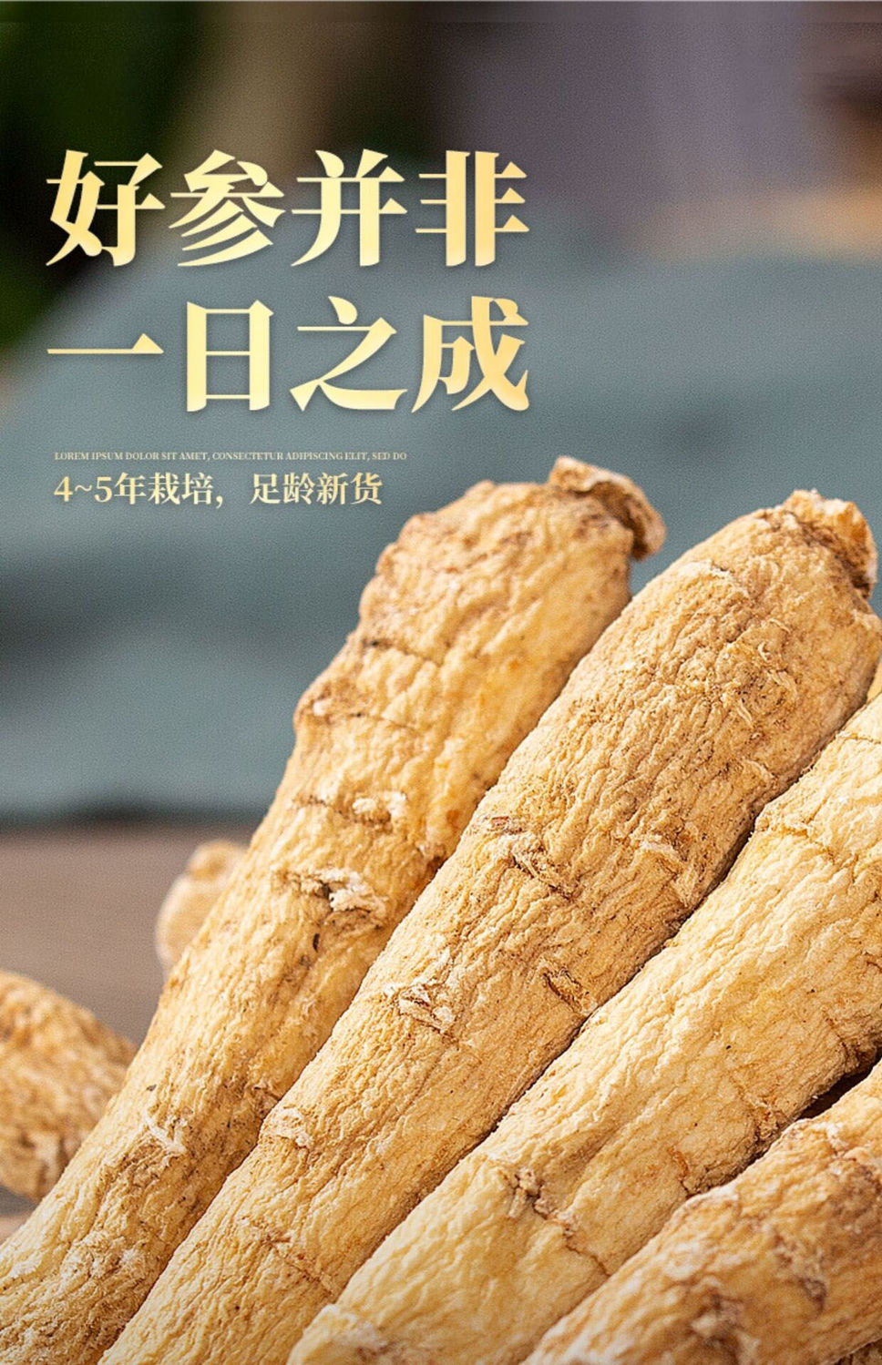 侼灵参【官方】野生侼灵人参切片脖灵参带防伪验证码 50克送50克枸杞