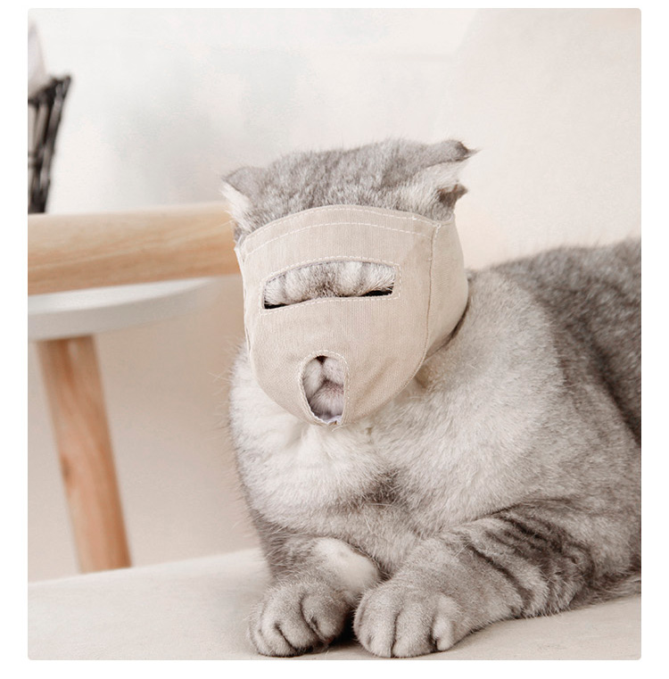 新品猫咪口罩猫咪口罩防咬人面罩神器小型宠物保护罩透气布料猫嘴套