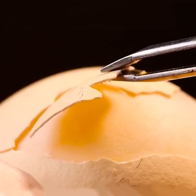 剥生鸡蛋壳的工具抖音网红挑战徒手剥生鸡蛋壳工具镊子大弯头多功能