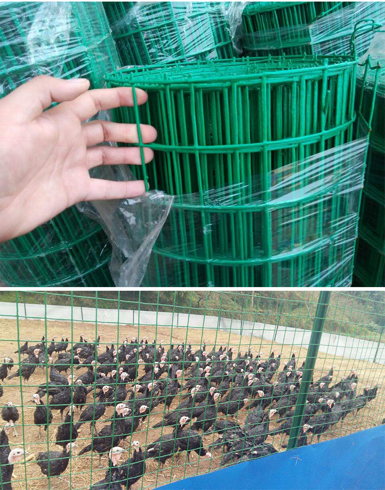 铁丝钢丝网荷兰网养鸡养殖围网隔离护栏围栏防护网栅栏钢丝硬塑网 2.