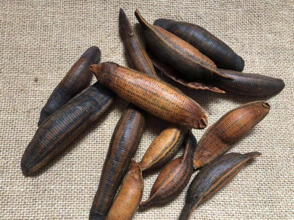 北京同仁堂炙水蛭中药材 100克熟水蛭 炒水蛭 烫水蛭干 制水至蚂蝗