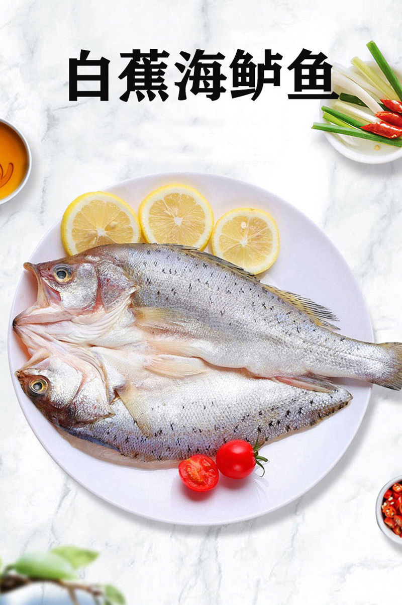 海鲈鱼开背新鲜冷冻鲜活深海七星鲈鱼海捕花鲈鱼黑鲈鱼去鳃去内脏2条