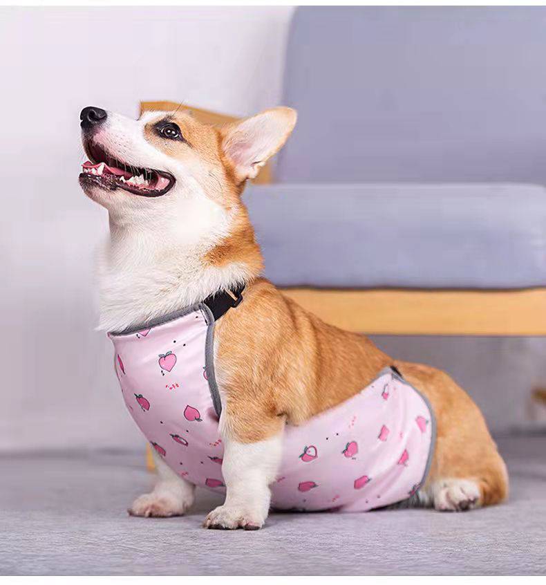 宠物防着凉肚兜 狗狗肚兜柯基犬护肚子防着凉衣服秋冬款保暖夏季雨衣