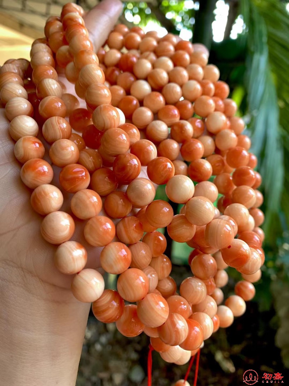 初嘉 万宝螺手串108颗手链 佛珠项链挂件 毛衣链高端本命年挂带血槽