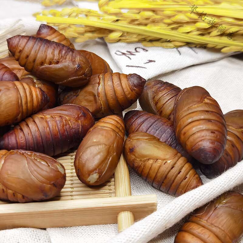 东北特产柞蚕蛹新鲜活体蚕蛹大黄a级山东大蚕蛹500g活体蚕蛹大黄蛹2斤