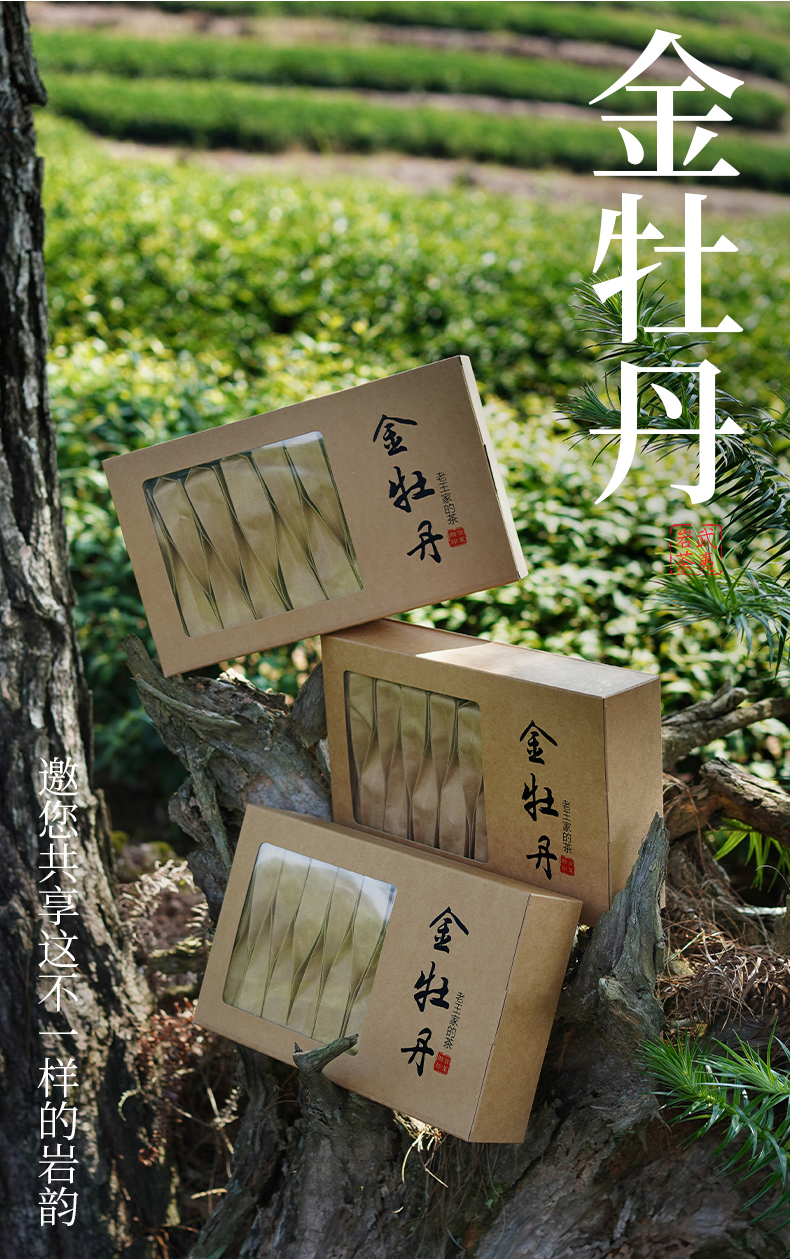 5折 福建武夷山岩茶金牡丹茶叶500g大红袍茶叶礼盒装包装浓香型【图片