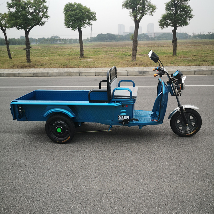 2022电动三轮车货运平板家用载货休闲成人拉货农用快递电瓶车接送孩子