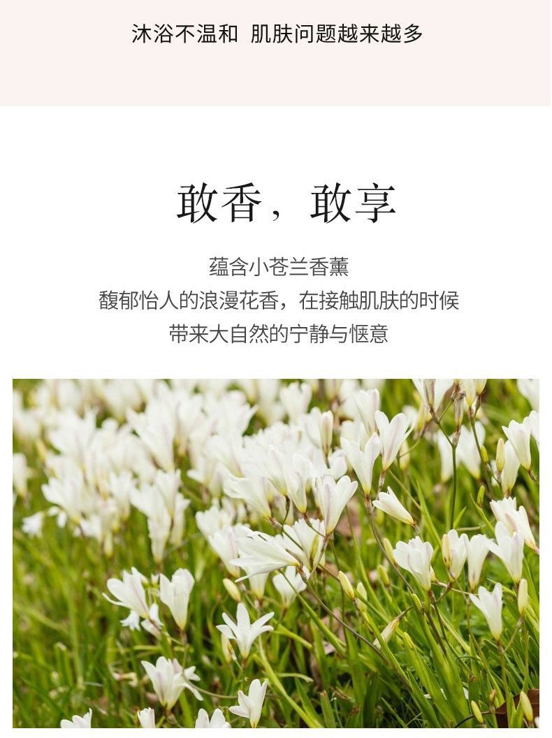 保湿小苍兰持久留香家庭装沐浴乳 花乐集 小苍兰香氛沐浴露1l【图片
