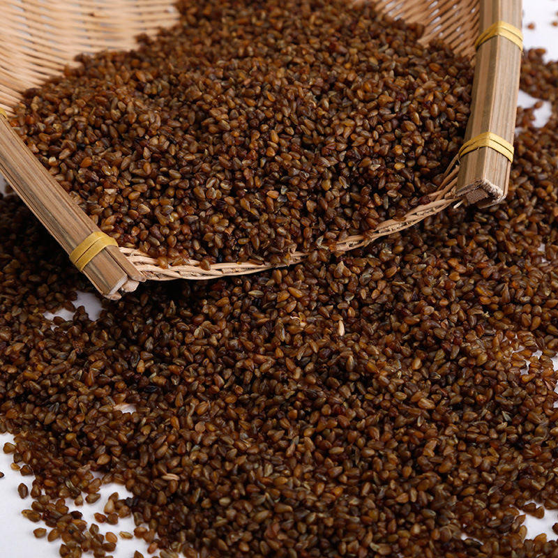 云南特产高原苦荞米5斤新货黑苦荞米五谷杂粮粗粮农家纯荞麦半斤5斤