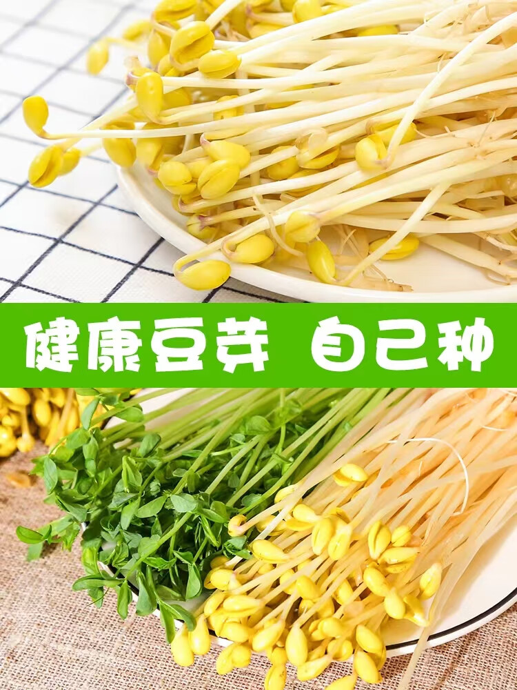 a321c1a15cc4ee1f.jpg