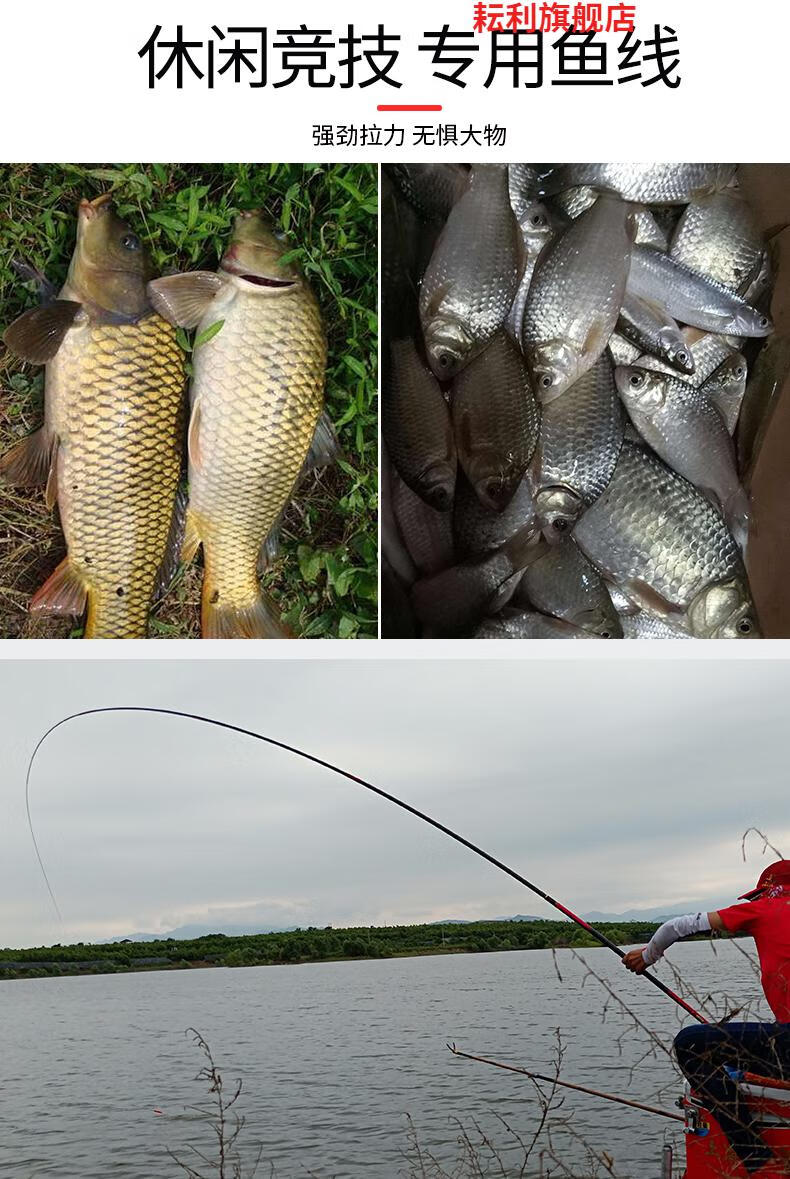 美人鱼大物钓鱼线mermaid上海美人鱼鱼线主线子线寻途大物线钓鱼线粗