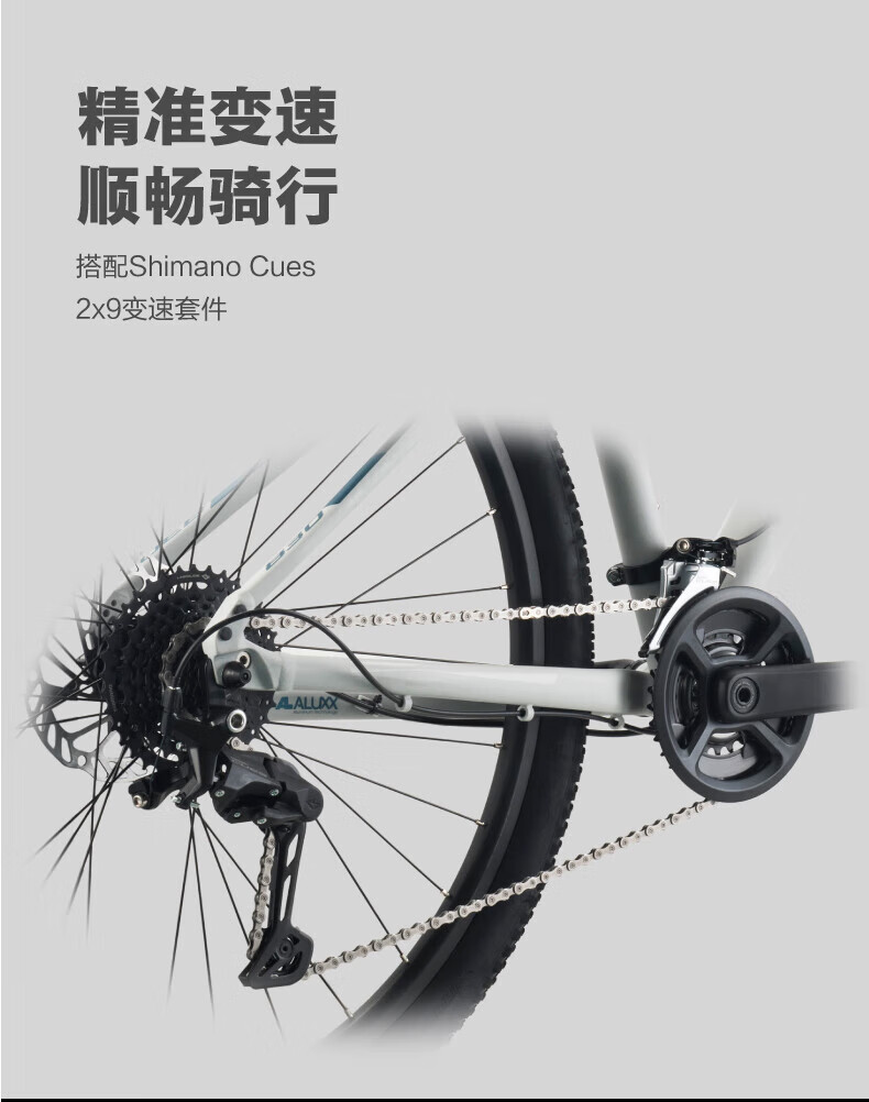 20ff5e4a5ec03853.jpg
