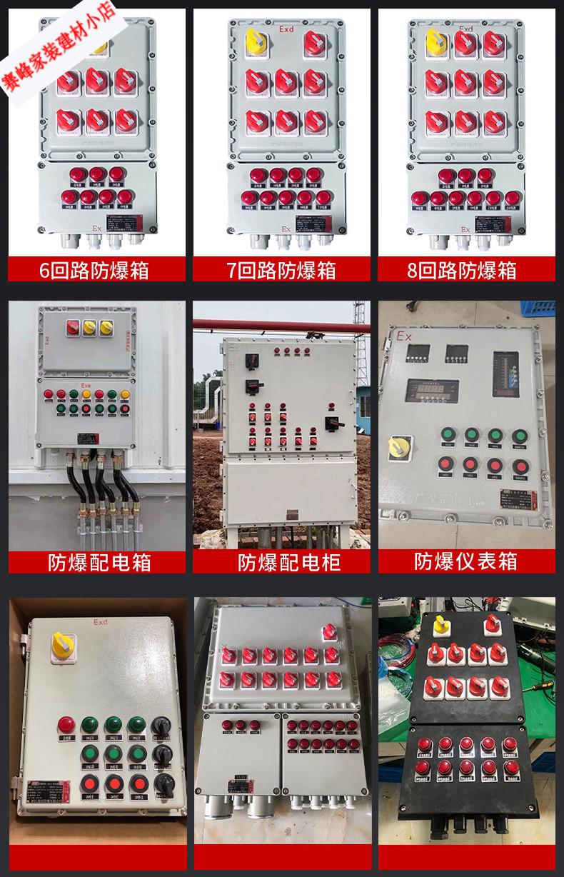 防爆配電箱照明控制箱動力箱防爆檢修插座箱開關電控櫃接線盒定製三