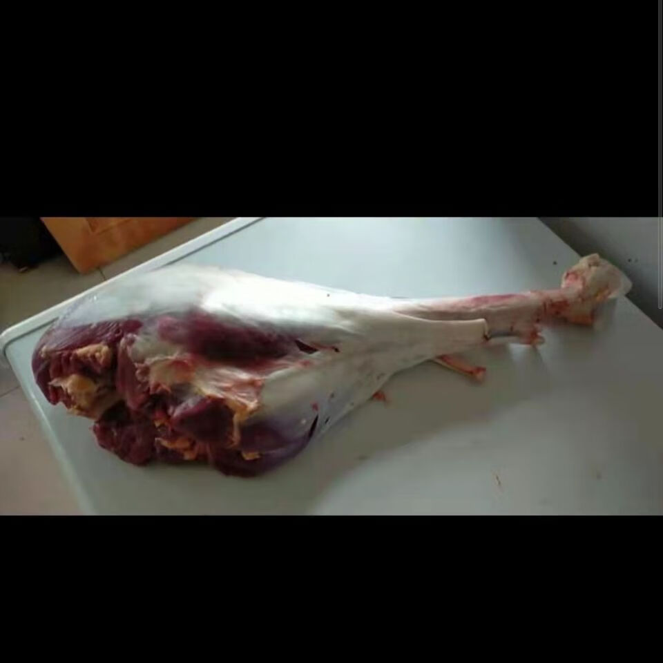 鸵鸟新鲜现杀鸵鸟大腿鸵鸟肉整只生鲜法拉尔特其他规格联系客服