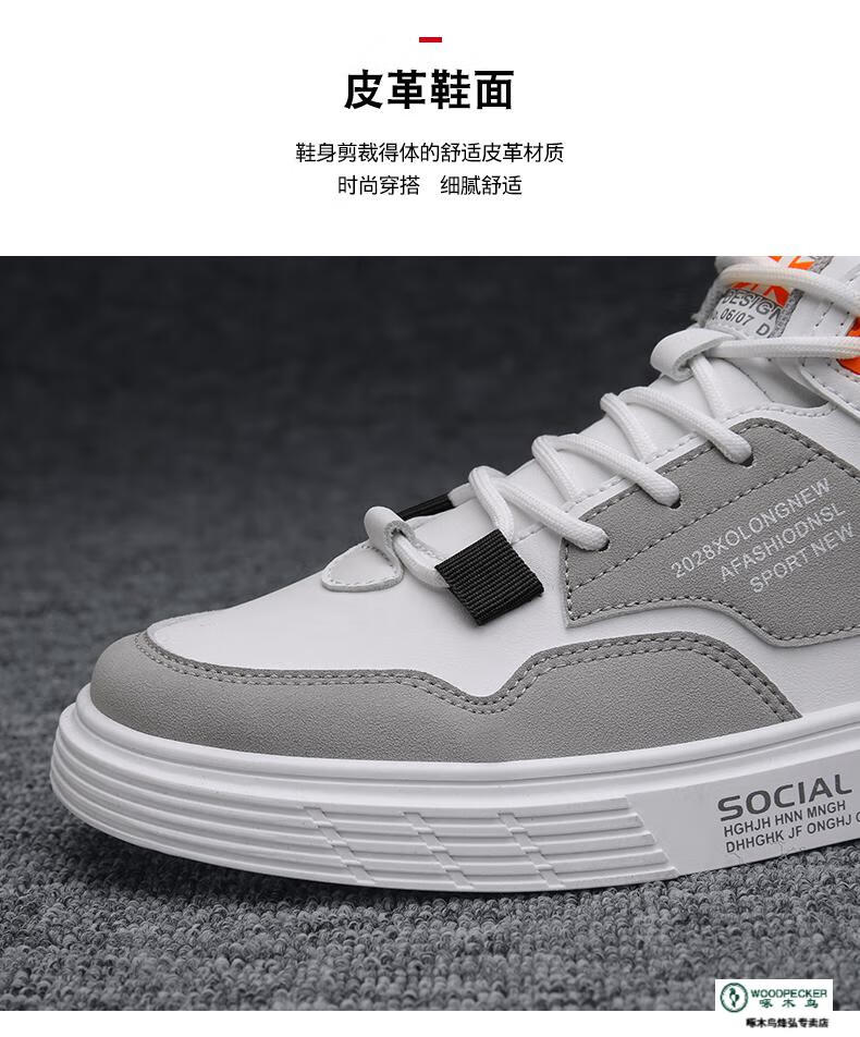 fb576893dcf19a84.jpg