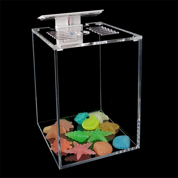 斗鱼缸高透水族箱单格客厅微景缸小型鱼缸桌面生态小鱼缸亚克力缸10x