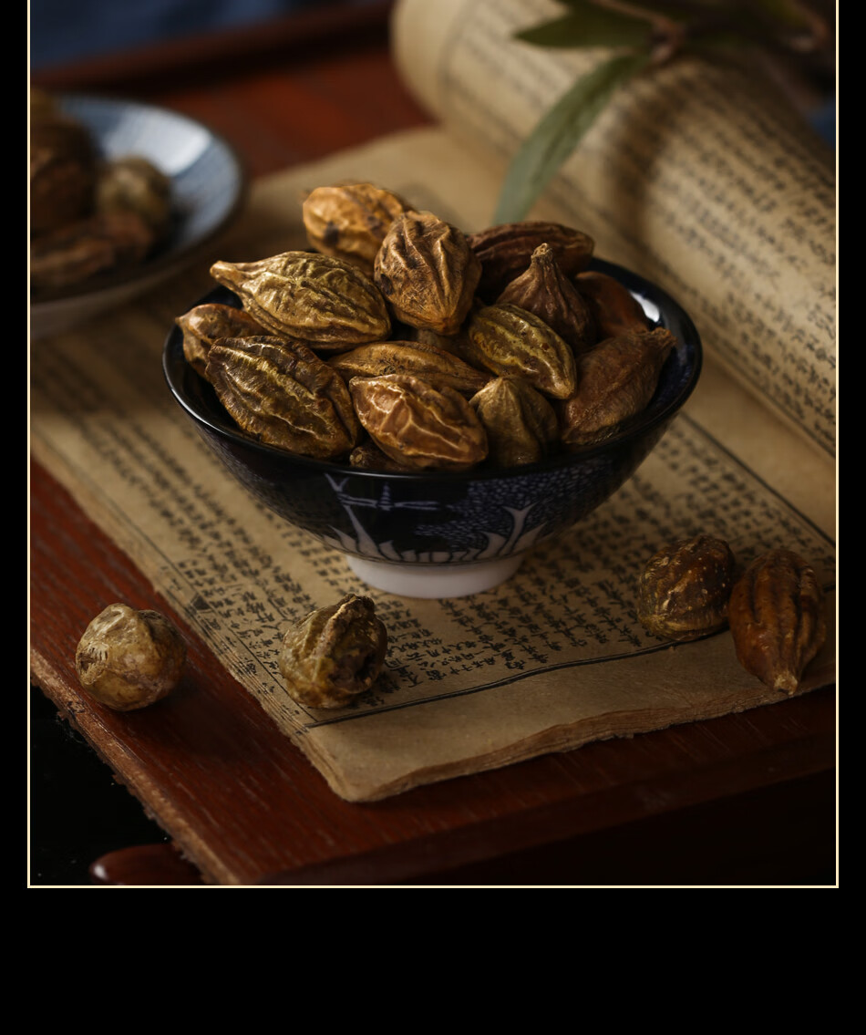 祁聚堂中药材诃子 柯子 柯子肉 金柯子 大金果 诃黎 随风子【图片