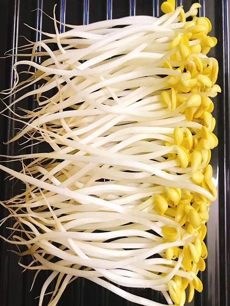 a2c5b4c7ec7daa82.jpg
