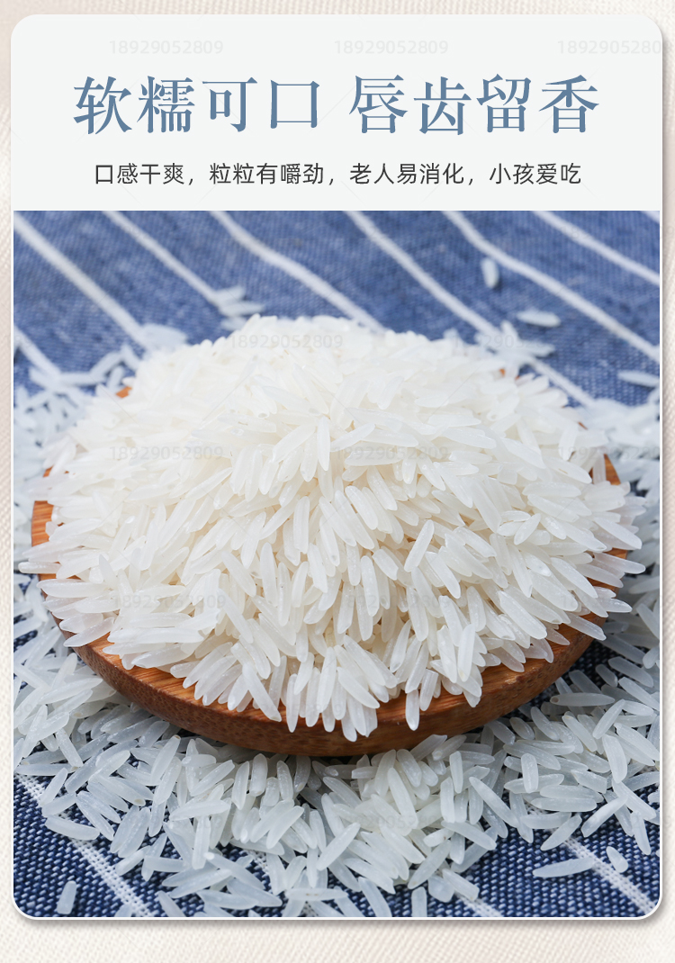 台山丝苗大米10kg21年新米五星广东象牙小农油粘米煲仔饭专用 【五星