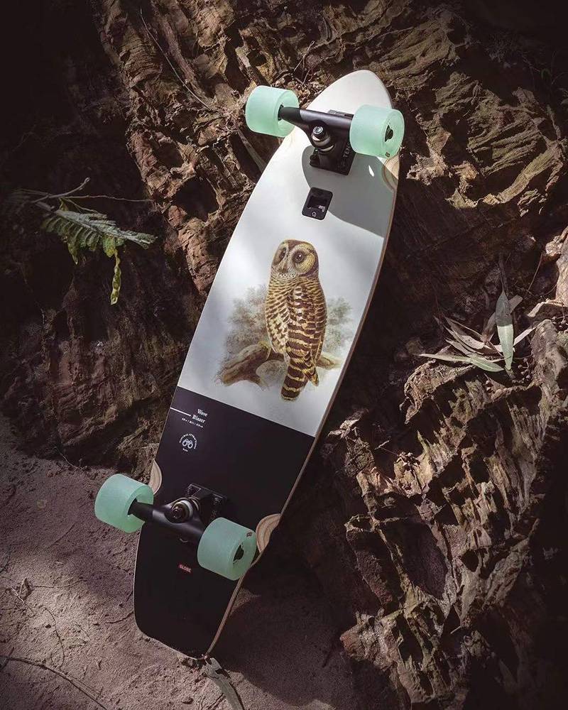 大鱼板进口 巡航板代步板刷街板大鱼板陆冲板陆地冲浪板 dusters