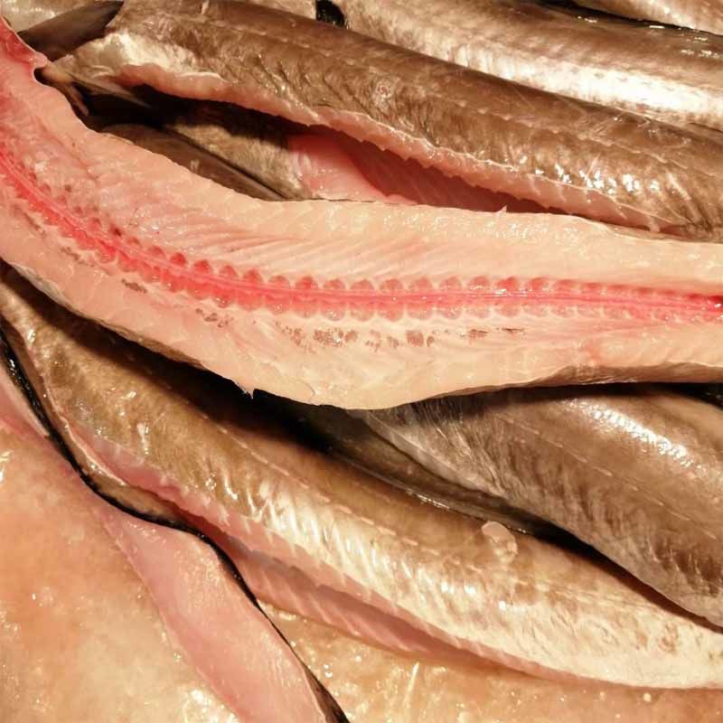 海鳗鱼霞浦新鲜大鳗鱼去头去内脏海鲜水产海鳗鱼饭鳗鱼片 3斤去头去