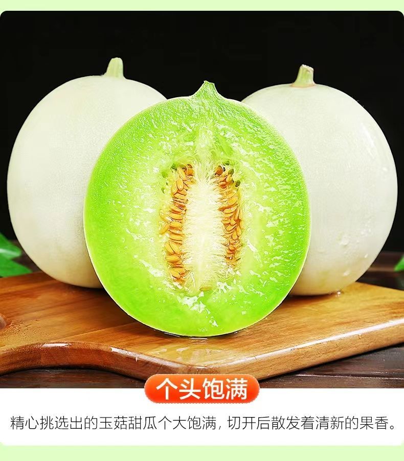 山东玉菇甜瓜新鲜孕妇水果应季头茬现摘冰淇淋奶香蜜瓜甜香瓜 【比