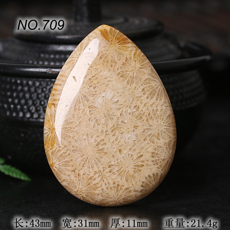 186b5dad59fed9b8.jpg