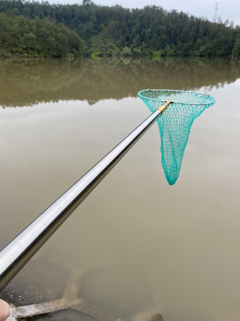 抄网 抄网捞鱼网兜伸缩杆折叠头操鱼网抄鱼网渔具配件用品钓鱼渔具大