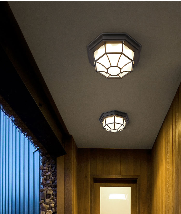 室外吸顶灯户外吸顶灯现代防水ed感应灯走廊过道灯室外阳台露台庭院灯