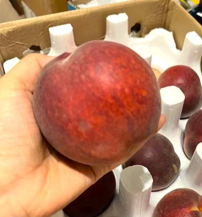 黑桃新疆黑桃皇后水蜜桃脆甜毛桃子应季水果 小果【价】带箱10斤 老果