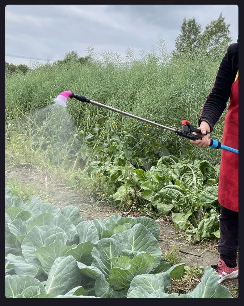 小型充电式浇菜地神器便携自吸灌溉机户外农用抽水泵家用田园浇水12ah