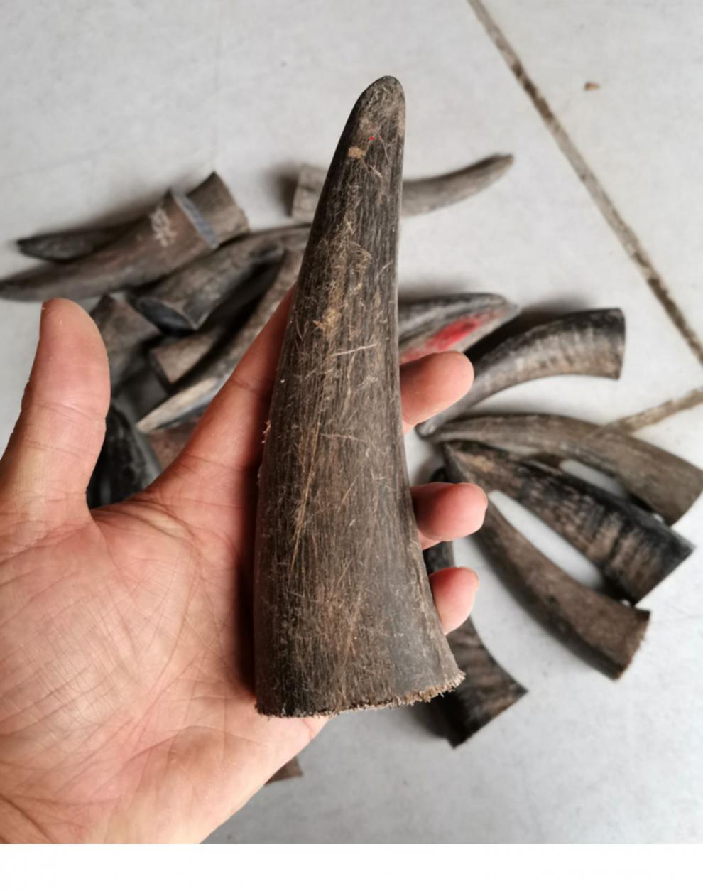 庄梦蝶黑水牛角尖全实心原料diy手工艺品雕刻印章刀柄手串珠材料3033