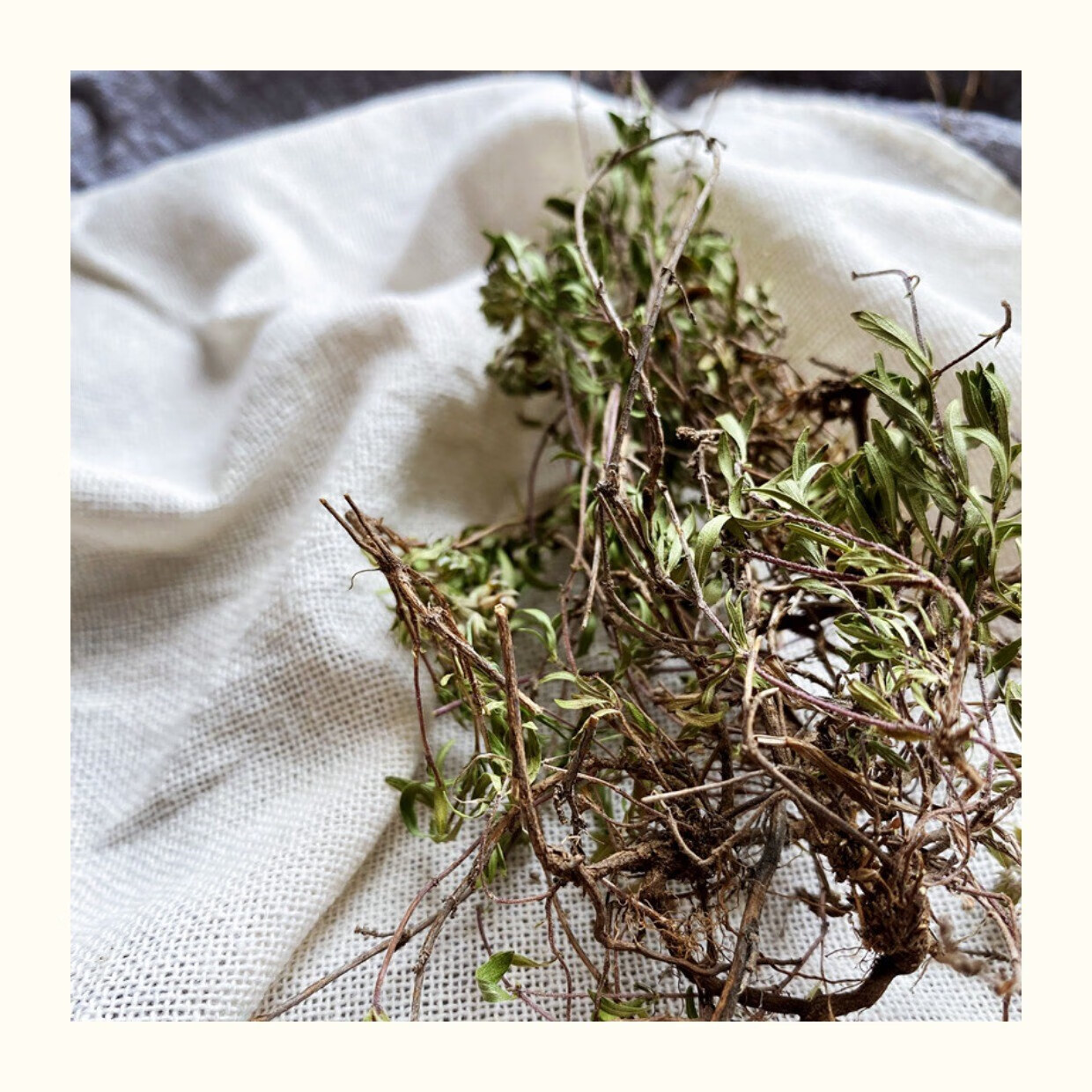 内蒙古山花椒地椒草调味煮羊肉去膳自然调料胡椒500克 300g【图片