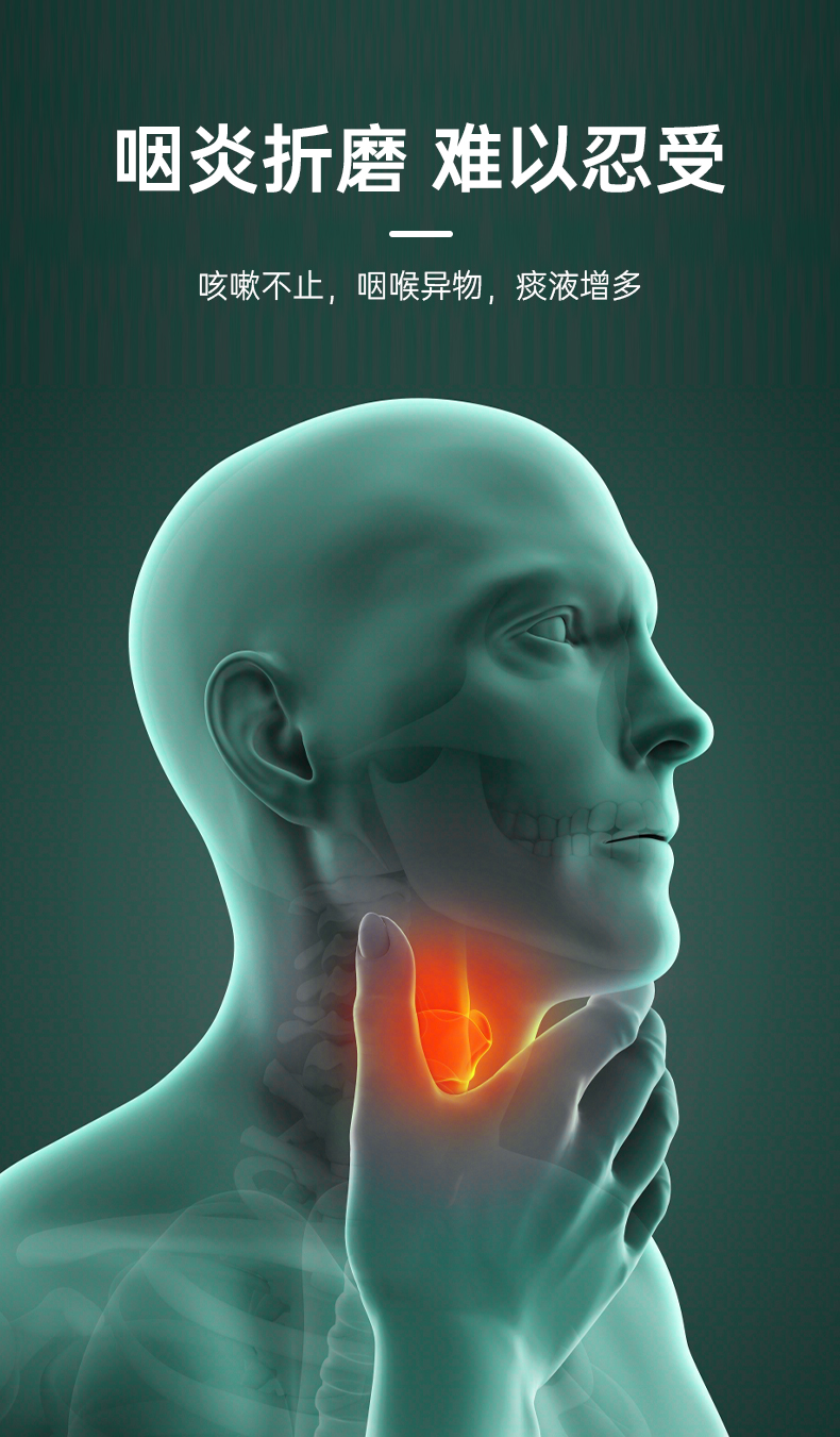 喉咙结构图颈部图片