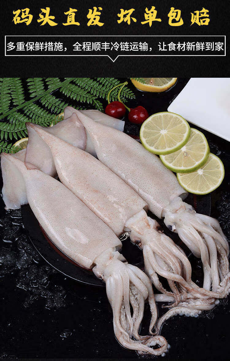大鱿鱼鲜活整只新鲜冰鲜海鲜水产生鲜鱿鱼冷冻乌贼墨鱼生冻海鲜 6-8两