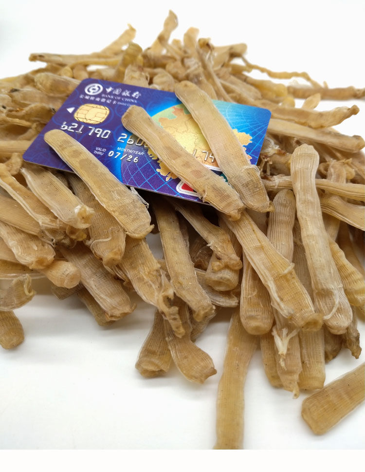 沙虫干广西北海海肠子爬沙虫鲜活海鲜干货批发非湛江煮粥即食50g