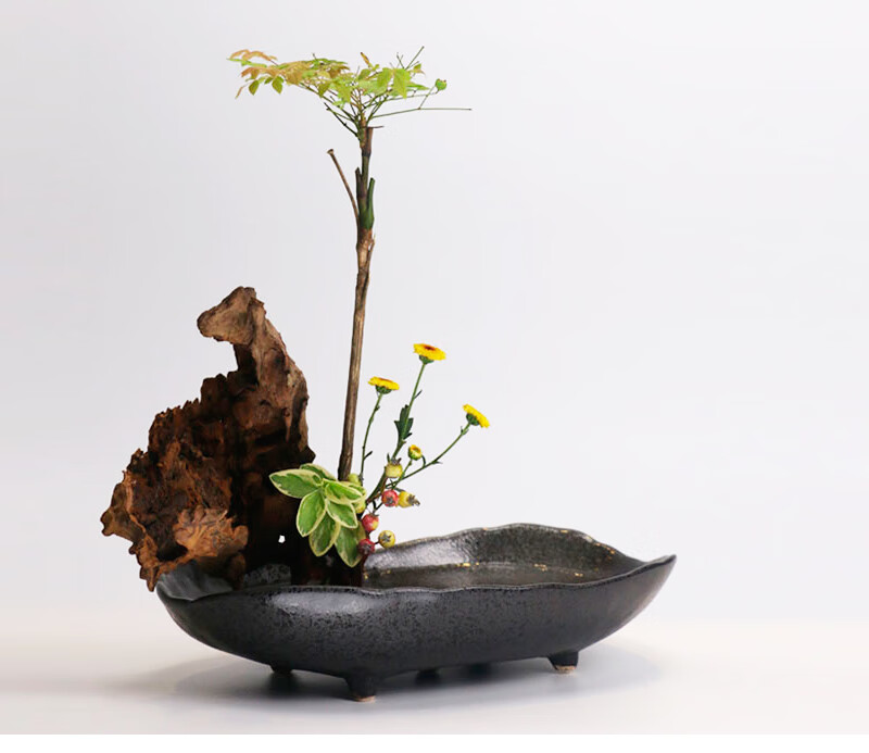 枯木根雕摆件 天然风化枯木木雕根雕微景观造景插花木头禅意树根摆件