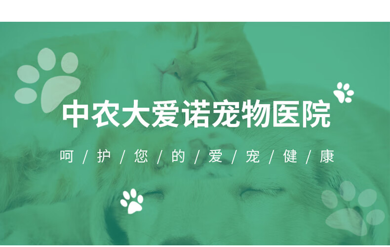 12，寵果糖乳果糖拉不出屎犬貓兔子鳥肝性腦病便便乾硬 2瓶 60ml 寵果糖(長期)