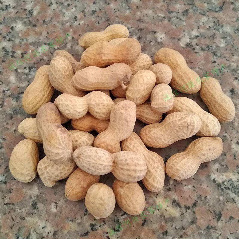 客河源忠信花生皇 白肉咸干花生2斤水煮日晒干广东咸脆蒜香花生 咸脆