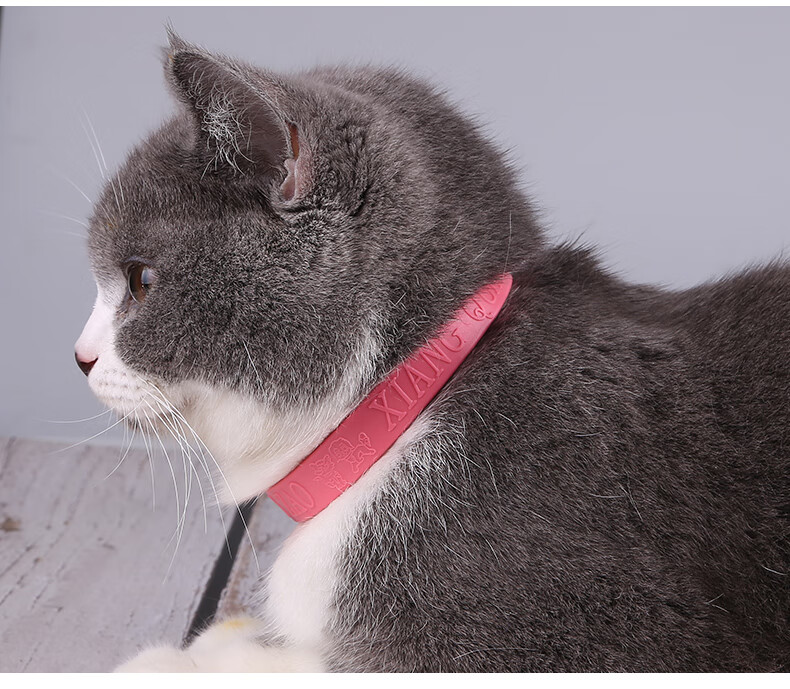幼猫小猫咪除跳蚤虱子项圈猫圈狗圈除跳蚤防虱子猫咪小狗狗除蚤项圈