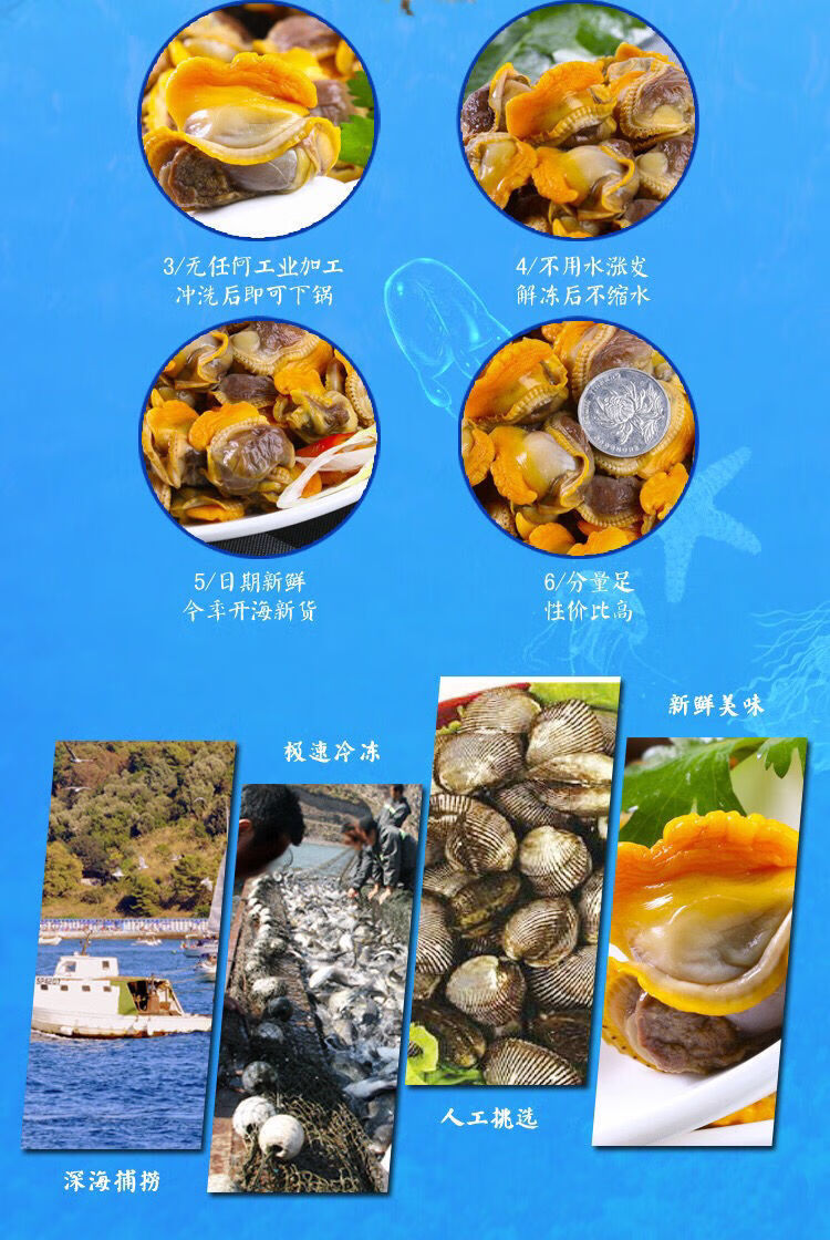 10058392527350商品名称:新鲜毛蛤肉血蛤肉干海货无沙毛蚬子肉肉海