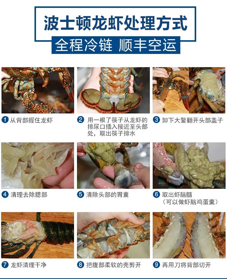 顺丰直达波士顿龙虾特大15斤波龙海鲜澳龙鲜活冷冻大龙虾5斤康胜谊