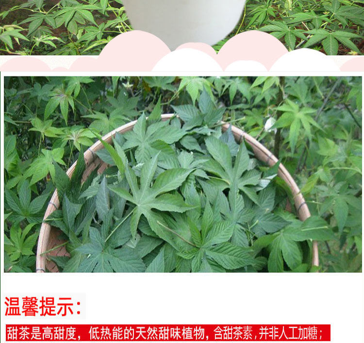 野生甜茶///500g*【图片 价格 品牌 报价】