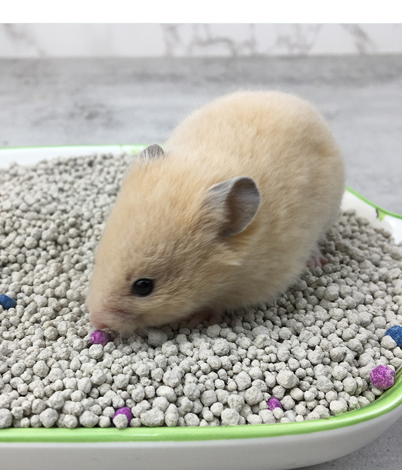 仓鼠尿砂松鼠熊刺猬鼠尿沙防臭除臭颗粒垫料浴沙除臭尿砂1000g